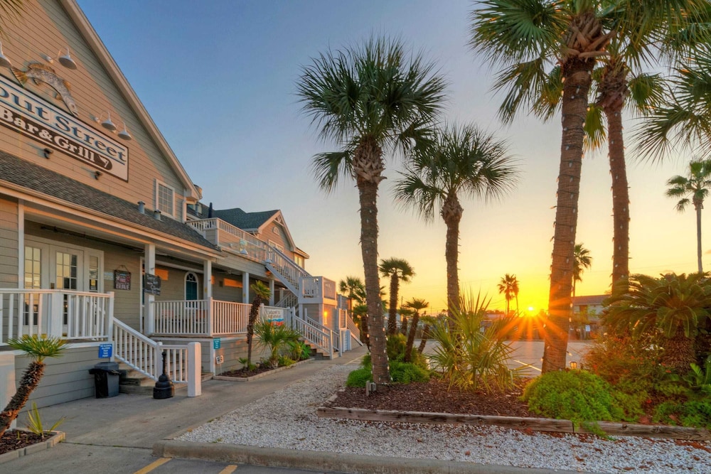 Blue Marlin & Dolphin Buyout Marina-front Escape for 10 Guests Walkable Access to Port A