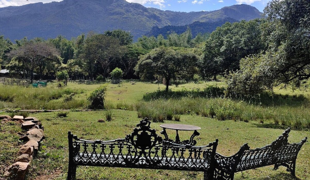 Jungle Hut Resorts