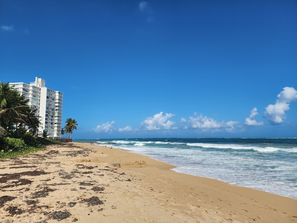 Gorgeous 1-Bedroom Beachside Suite view 4
