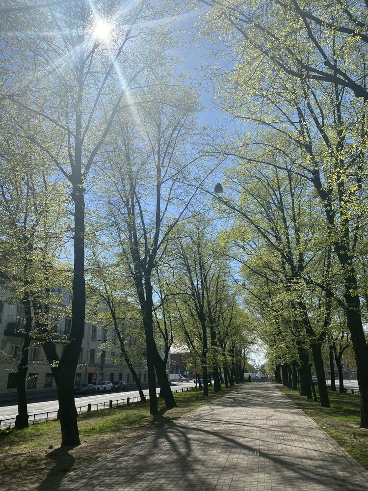 Photo 34