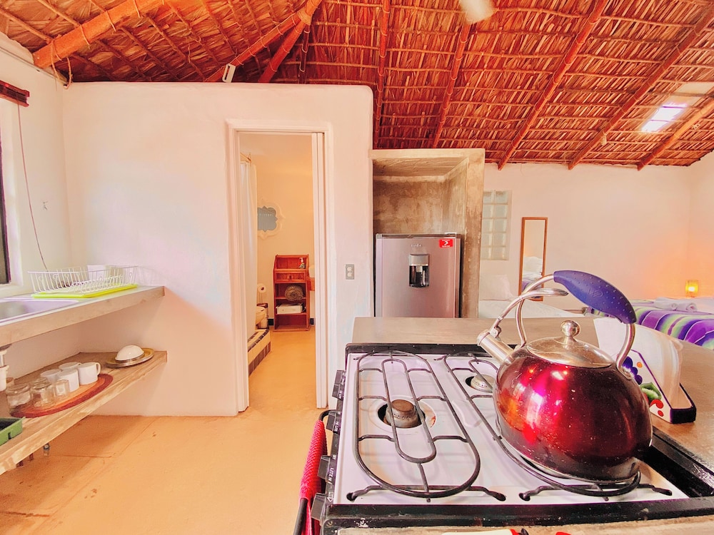 Perro Surfero Hotel Boutique - Todos Santos, BCS