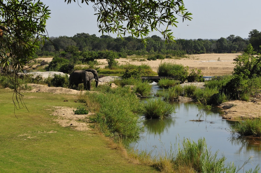 Inyati Game Lodge