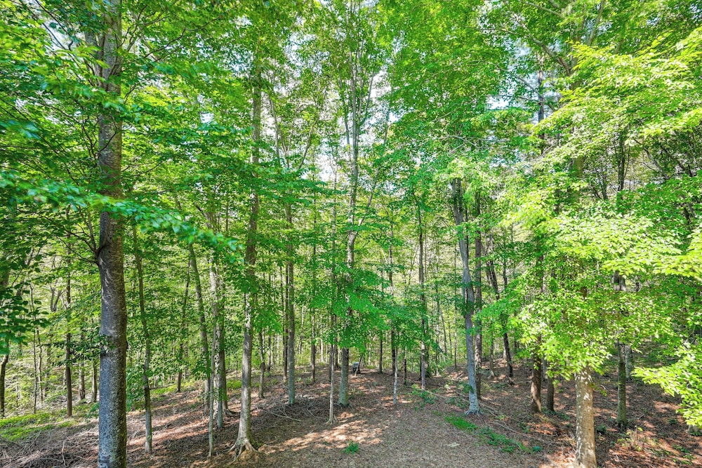 3 Mi to Dale Hollow Lake: Wooded Retreat w/ Decks!