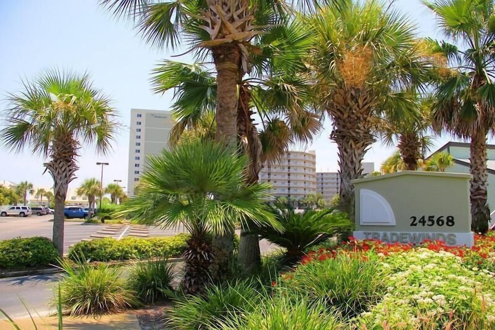 Tradewinds 1102