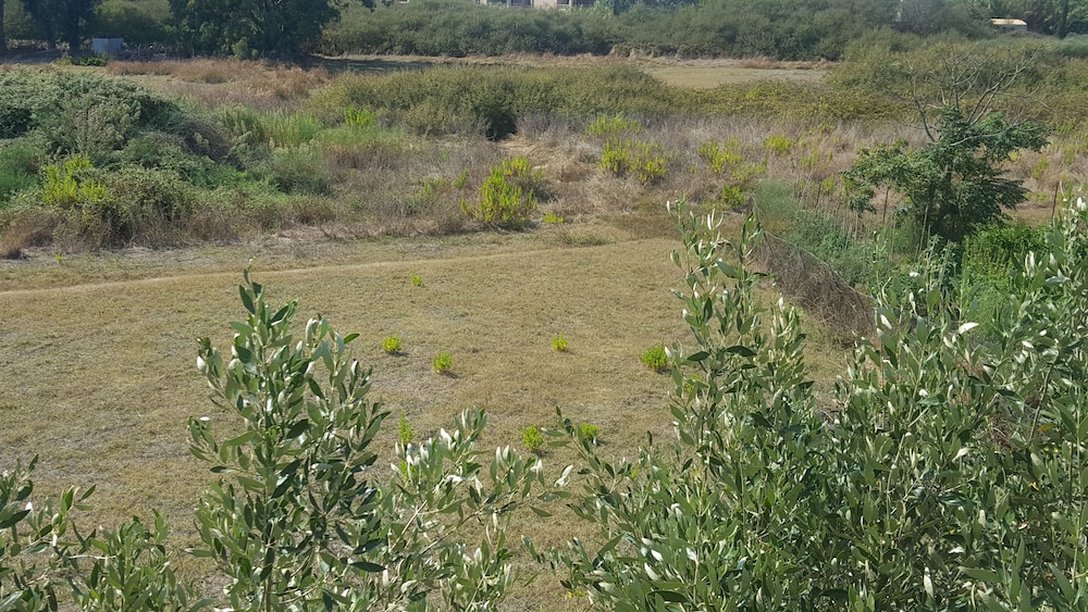 Photo 43