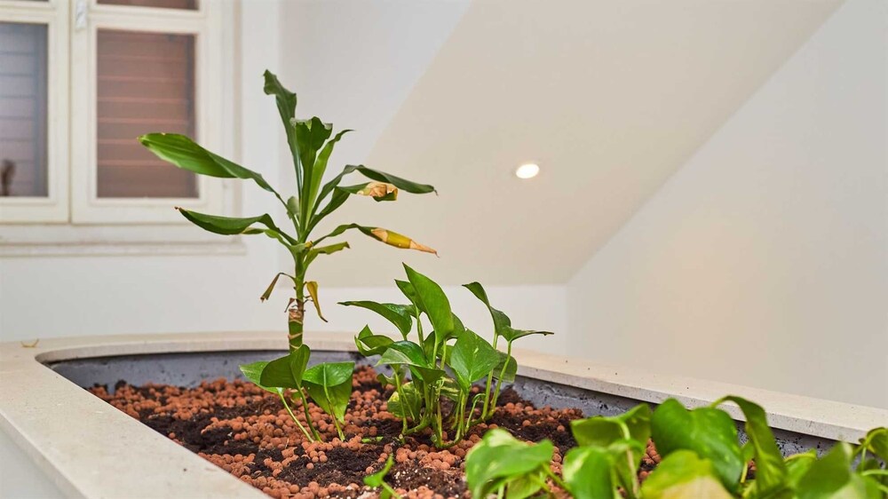 Dubrovnik Vacations - Boutique Garden Rooms - Property Image 148