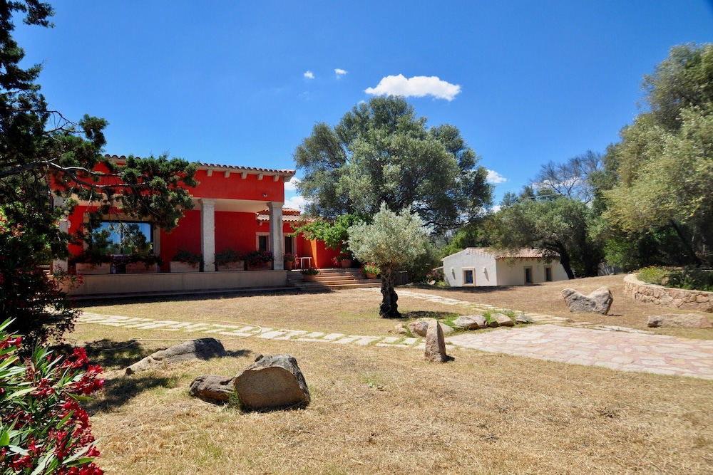 Photo 16