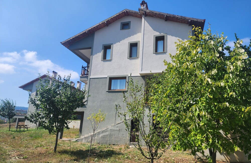 Photo 12
