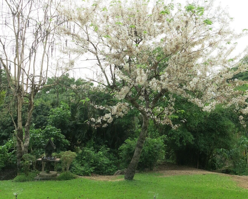 Suan Kaew Park