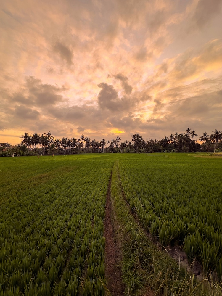Sierra Vista 1 Ubud
