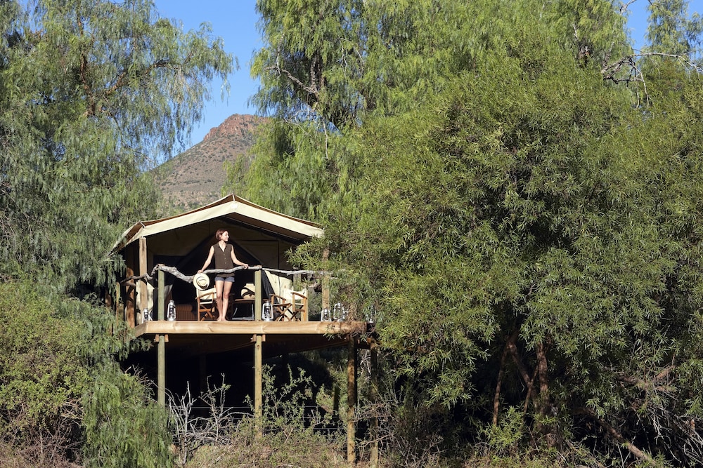 Mount Camdeboo Private Game Reserve by NEWMARK