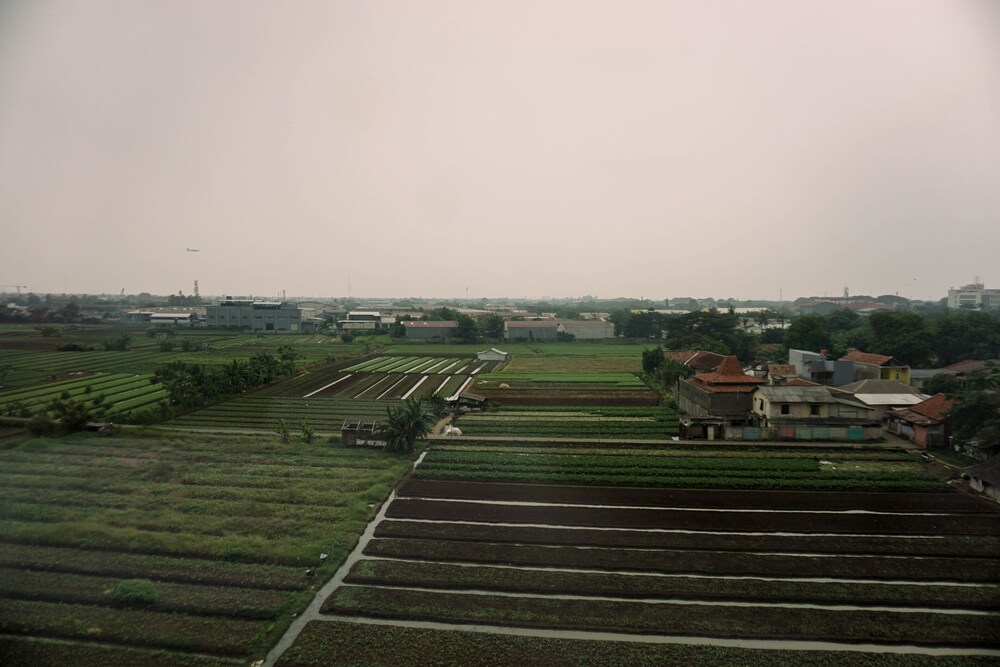 other