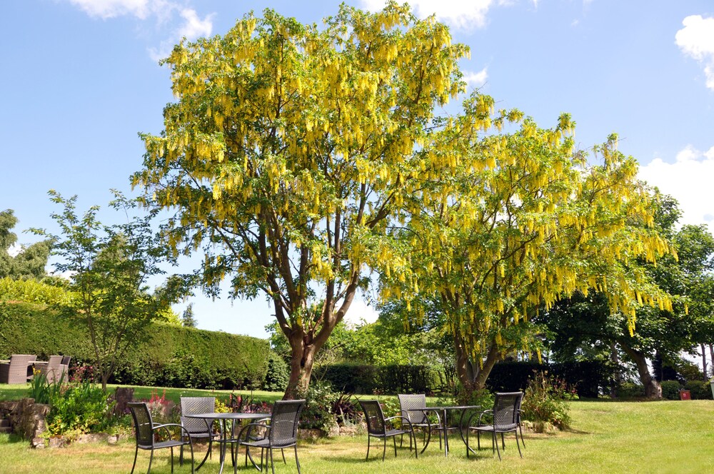 Bridleways Guest House & Holiday Homes