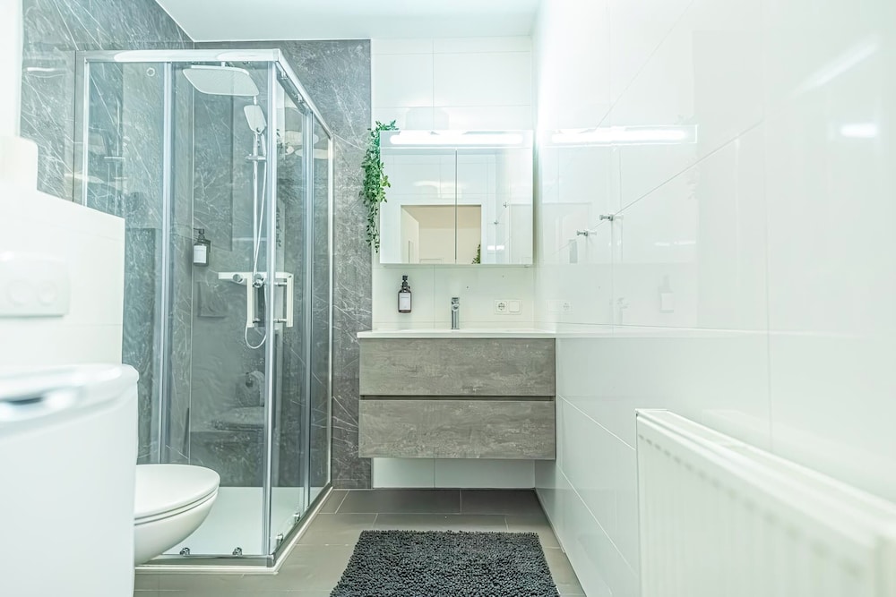 Comfortable 1BR 1LR City Center Apt