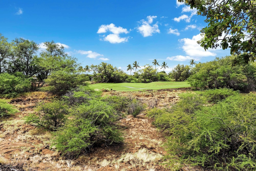 Golf Course View - Conveniently Located - Vrkcv