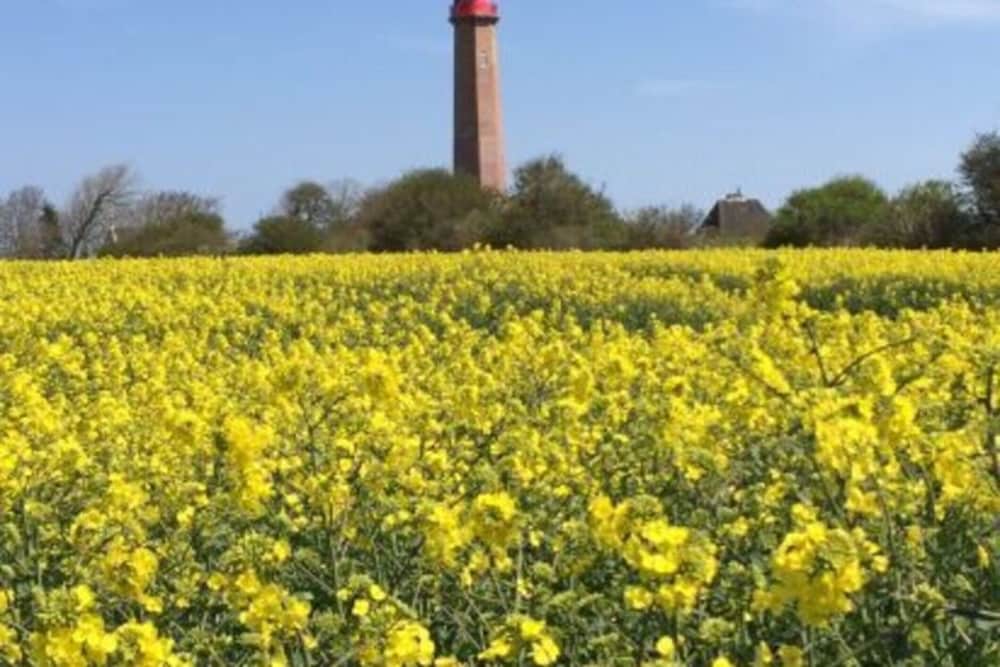 Ferienwohnung Sturmeck, Fehmarn-orth