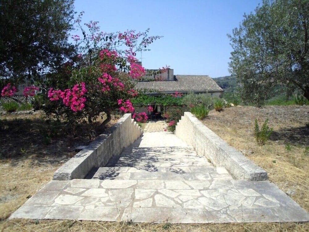 Photo 42