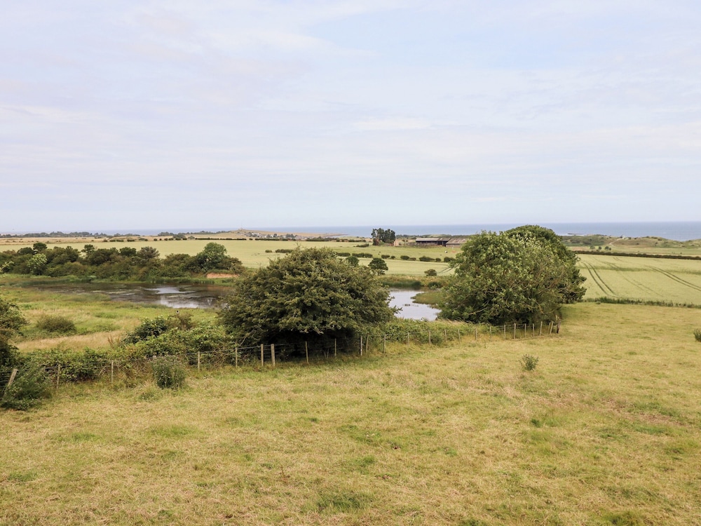 Links View
