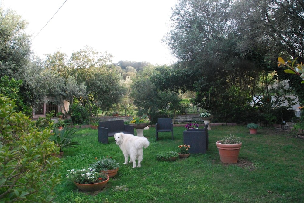 B&B Su Narboni Mannu E4247