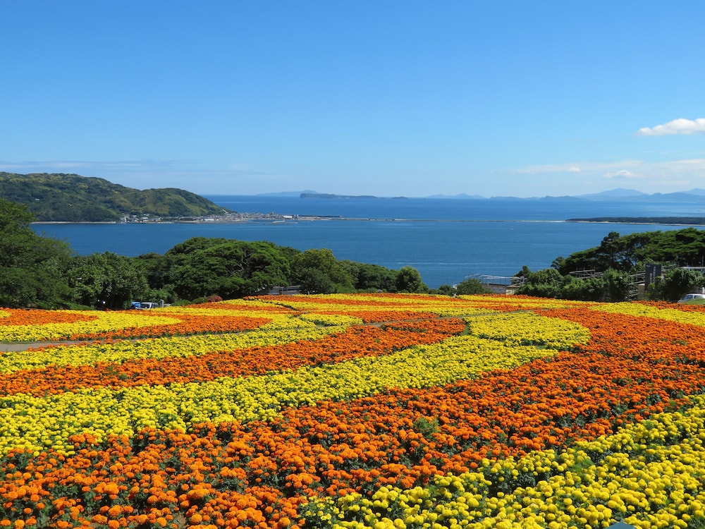 Nokonoshima Island Park Villa Sakimori