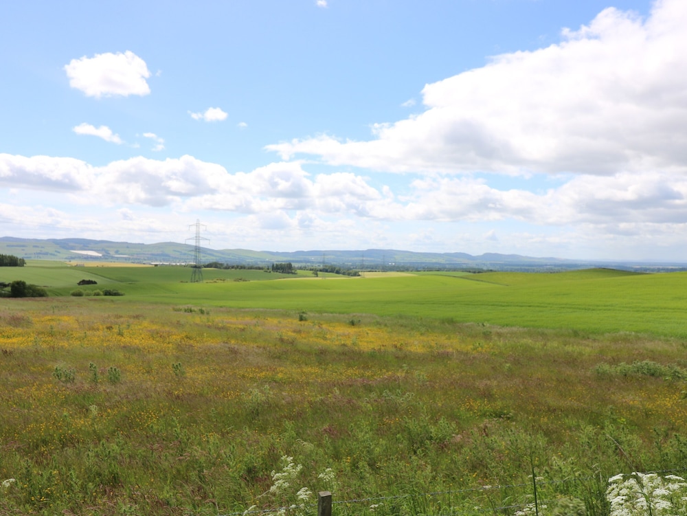 Brae of Airlie Farm