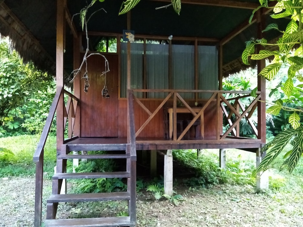 Photo 44