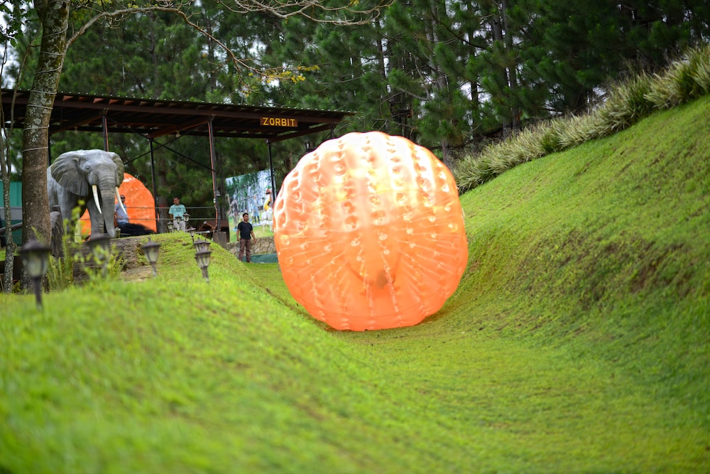 Dahilayan Forest Park Resort