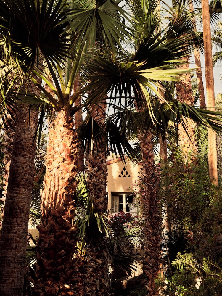 The Willows Palm Springs