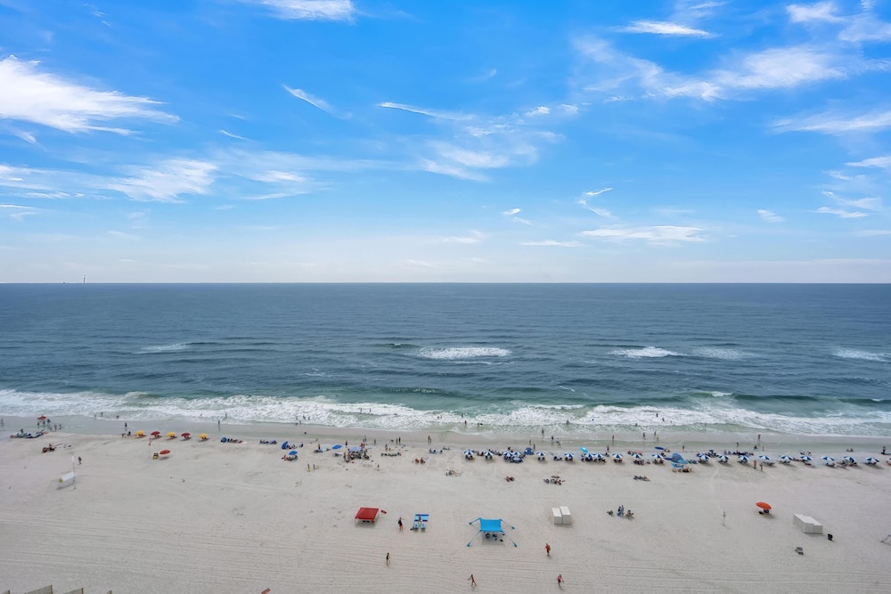 Tradewinds 1303