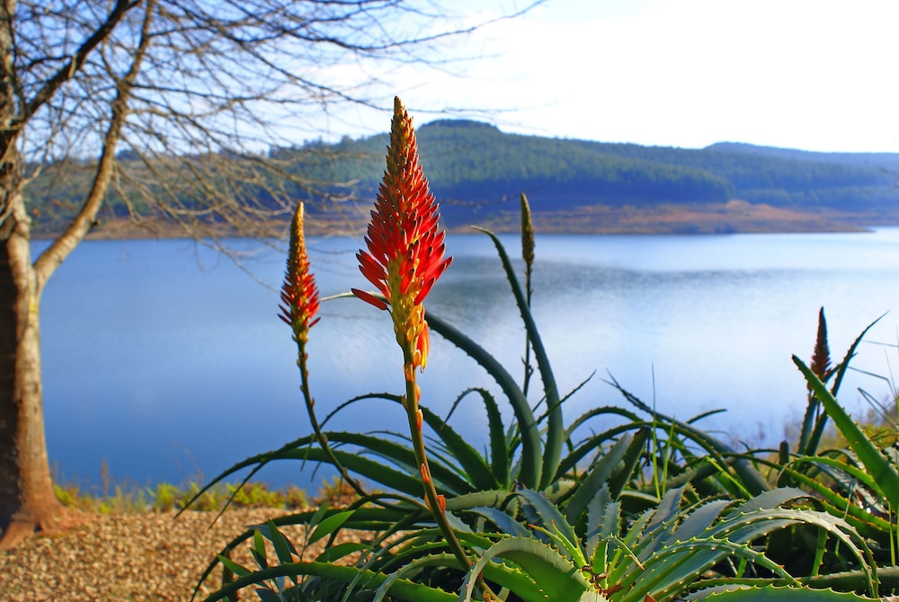 Mohale Lodge view 3