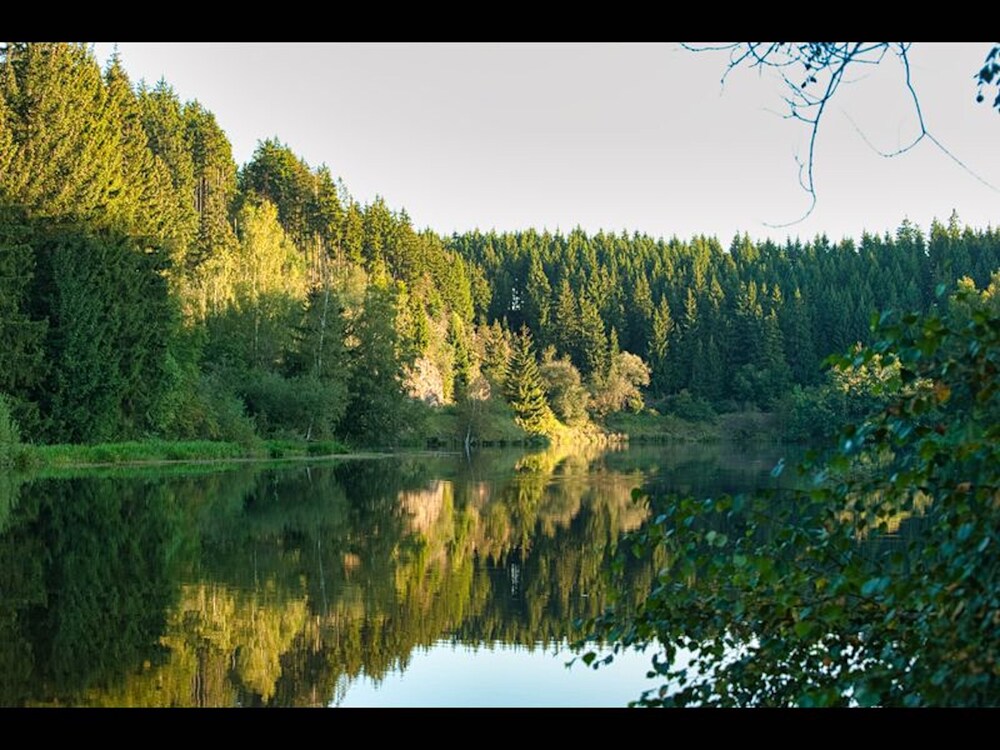 Your Holiday Home in Hasselfelde in the Harz Mountains