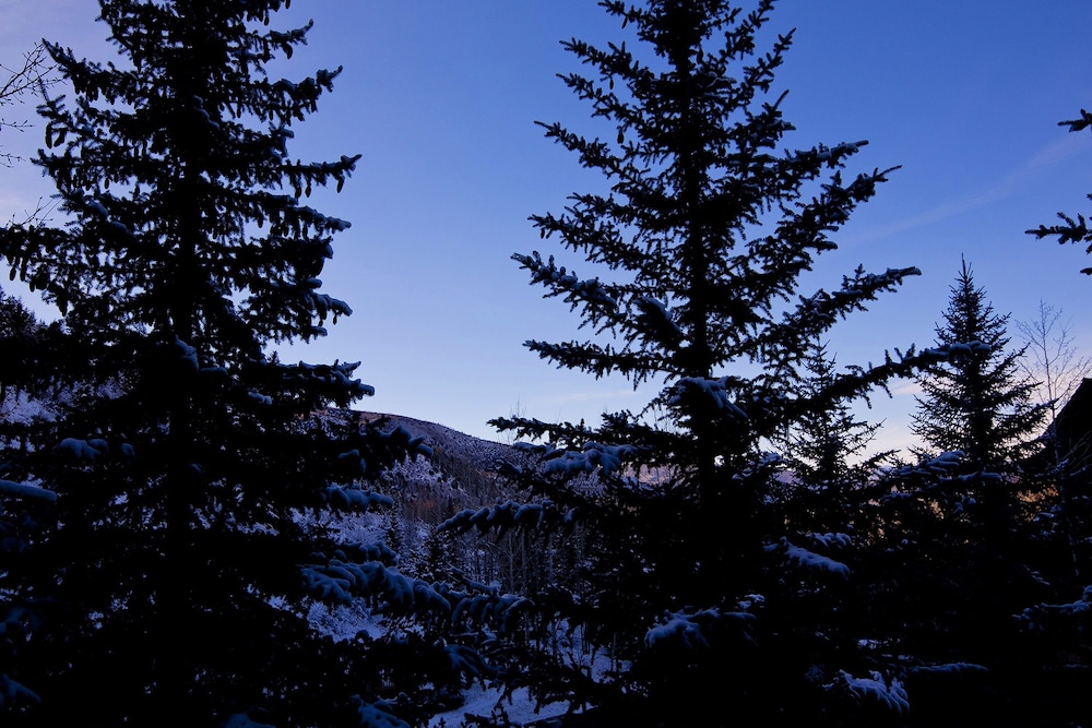 Edwards CO - Aspen Snowmasswood Lodge Vacation Rentals