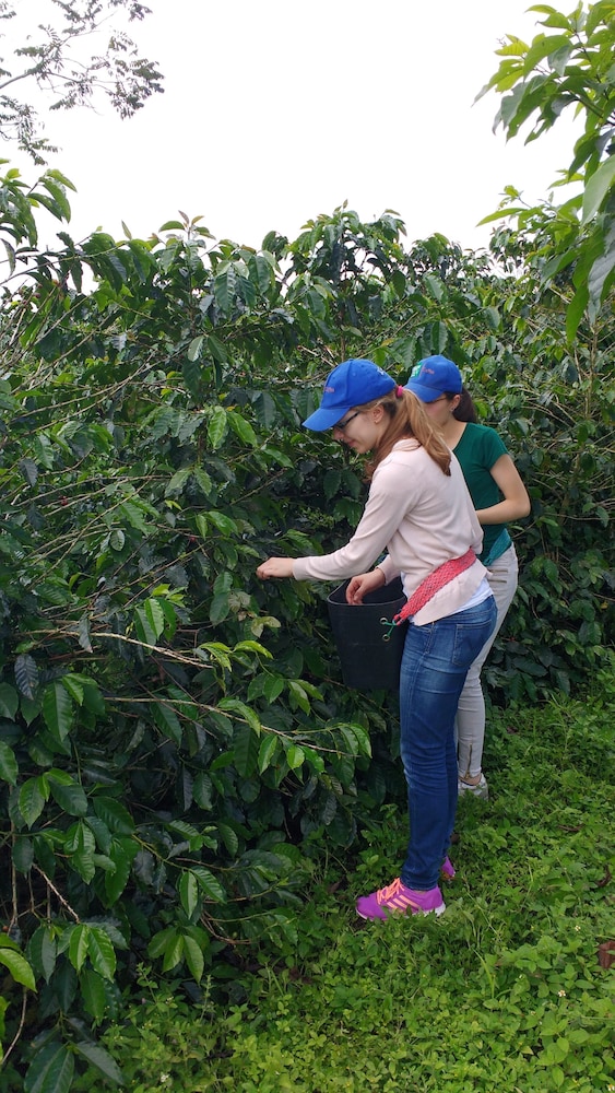 Finca Agroturistica Alejandria