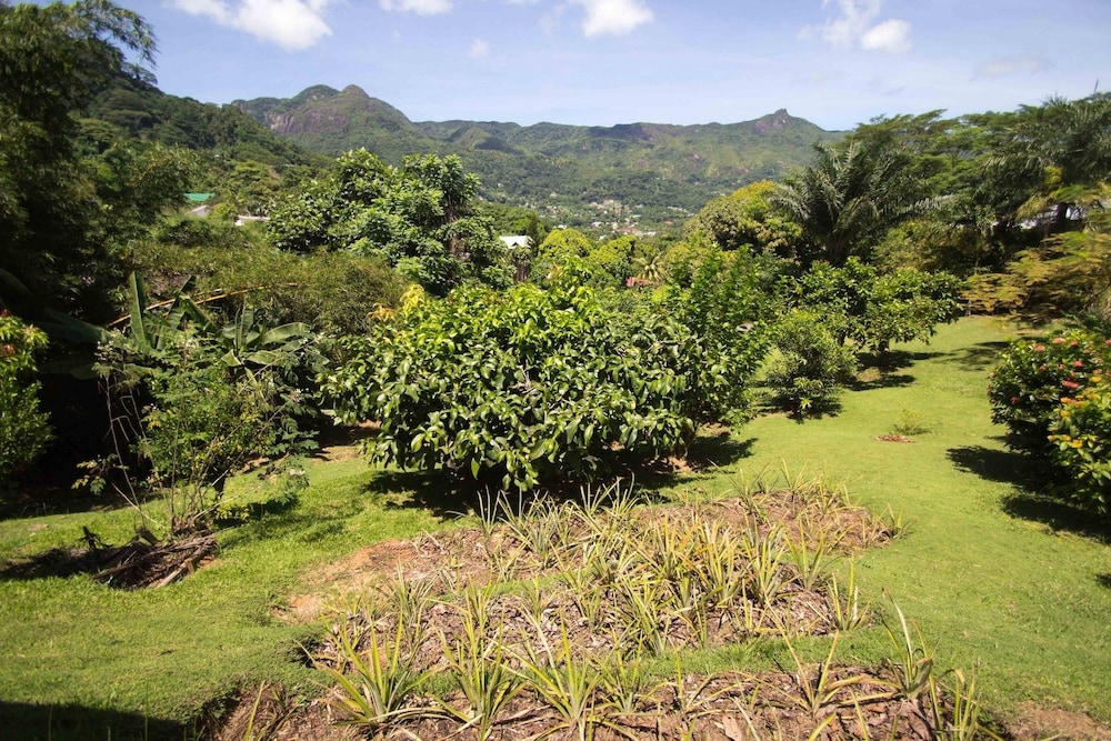 Lemongrass Lodge