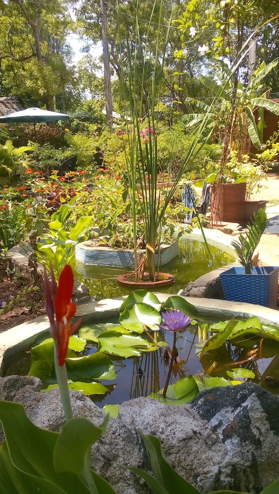 Sigiriya Nature Villa Lodge