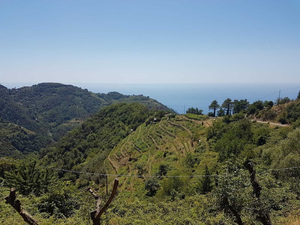 Villa Piculla photo 3