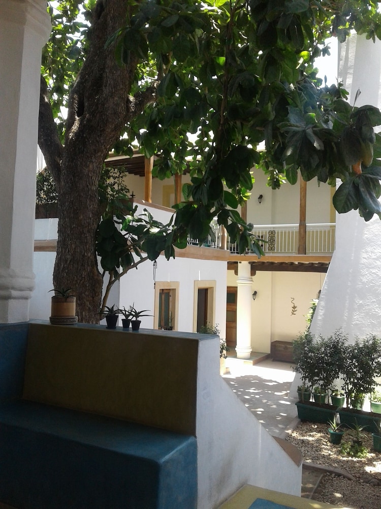 Jardim dos Aloés - Unique B&B, photo 123