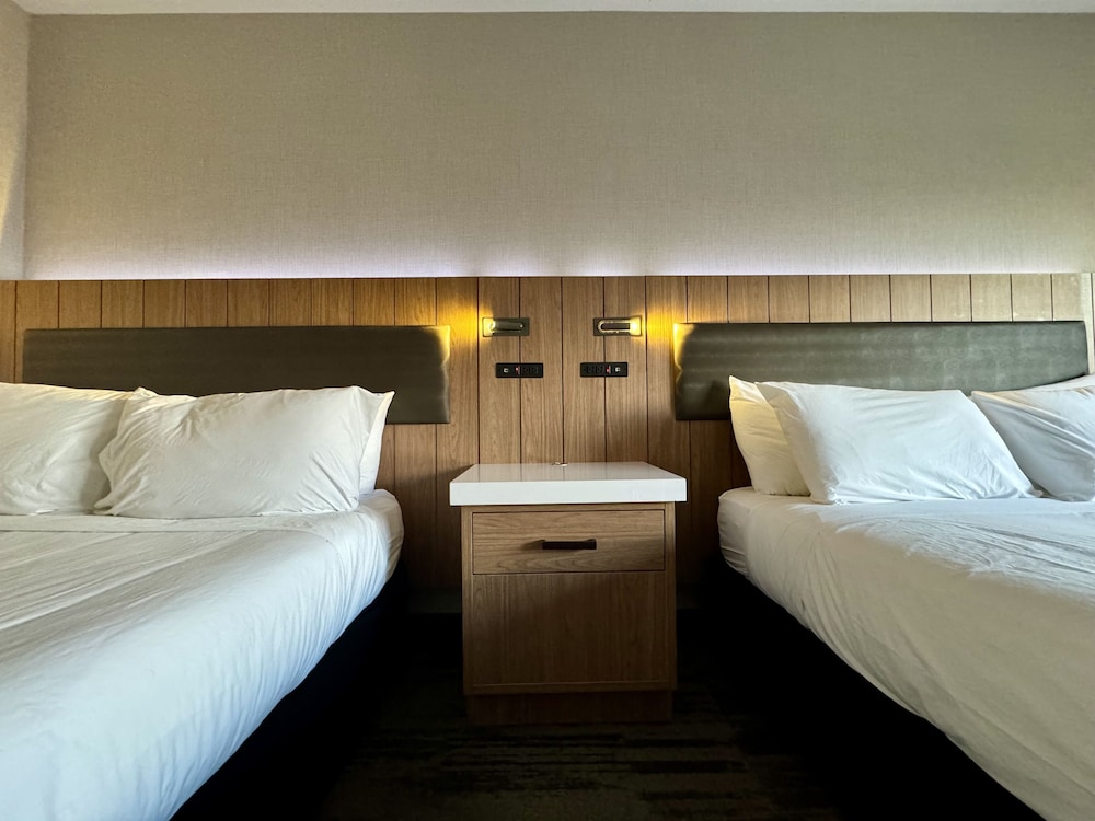 La Casa Modesto, Ascend Hotel Collection, Billede 10