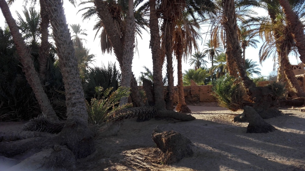 Kasbah Aladdin, photo 7