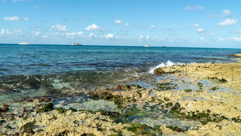 Cozumel Apartments