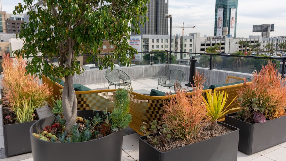 The Cosmo Lofts - Image 5