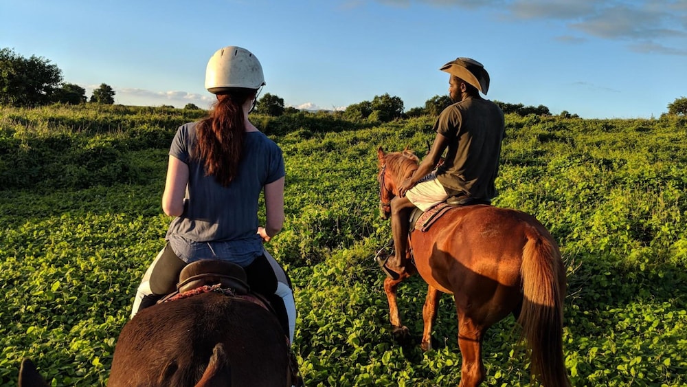 Tanna Evergreen Resort & Tours