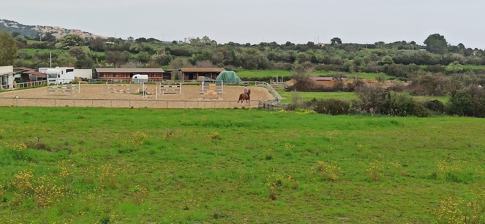 La Casa di Amalia in Ponte