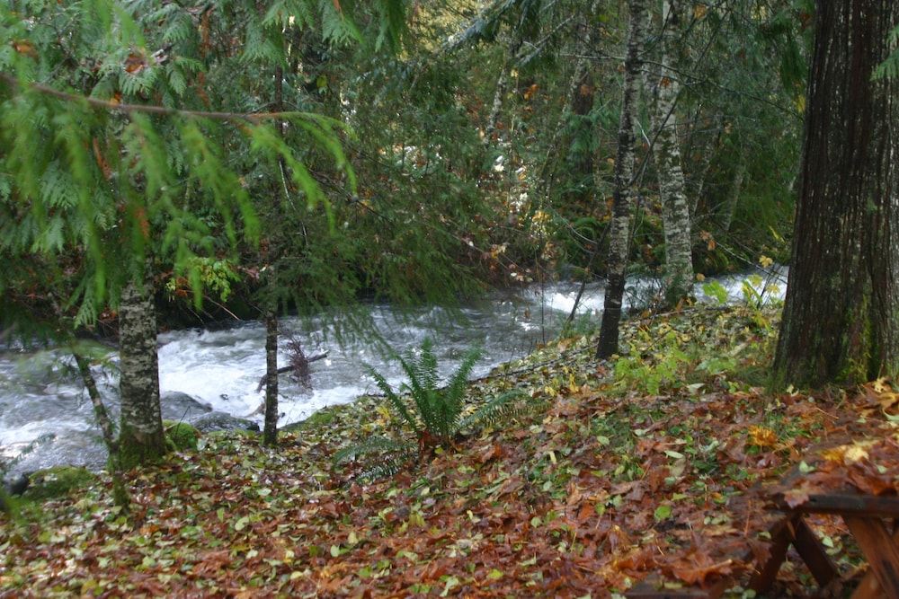 Copper Creek Inn at Mt Rainier