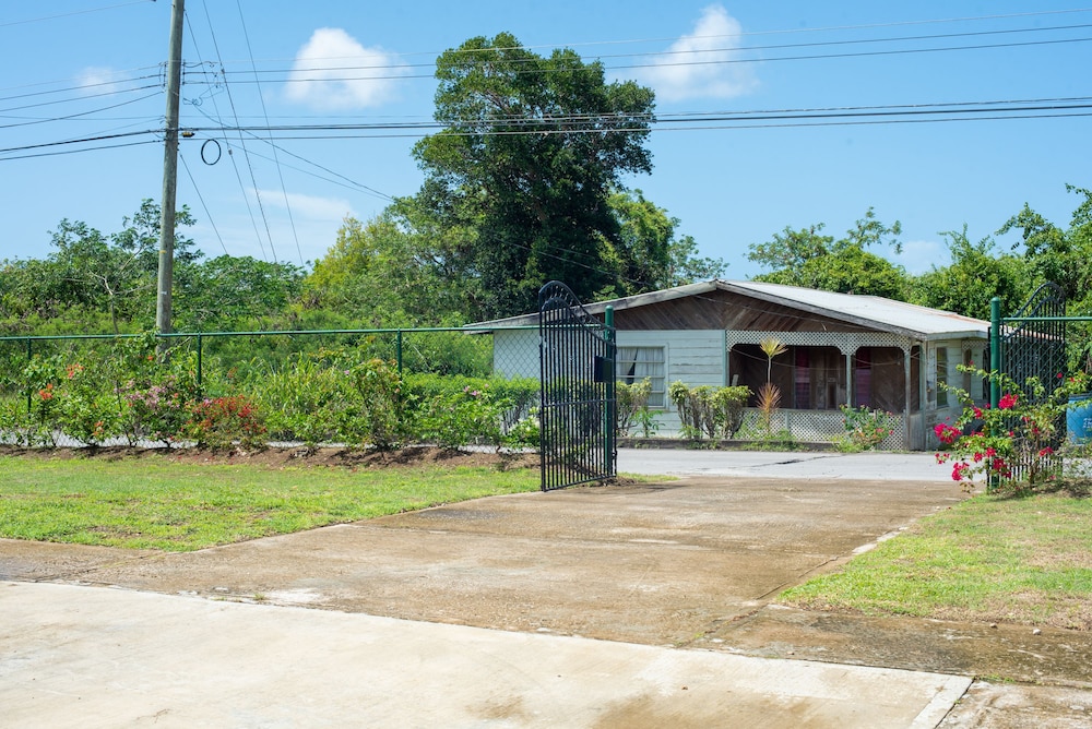 Photo 11