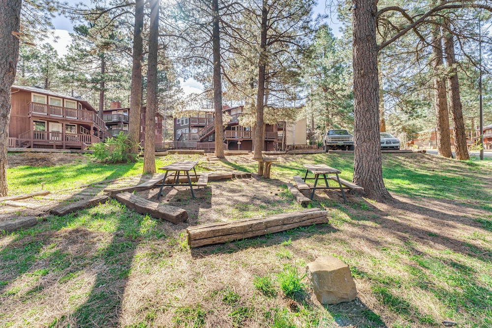 Bike, Fish, Hike & Ski: Angel Fire Condo!