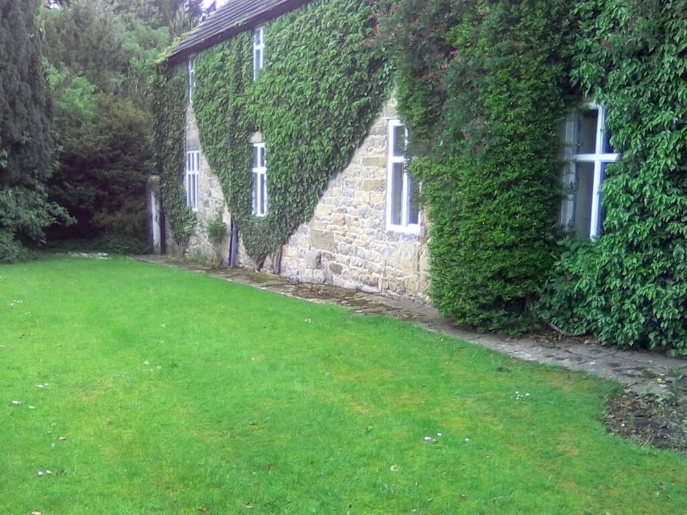 Photo 53