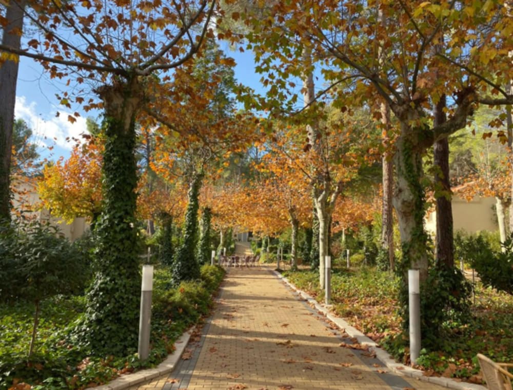 Confluent Health Resort - Property Image 6