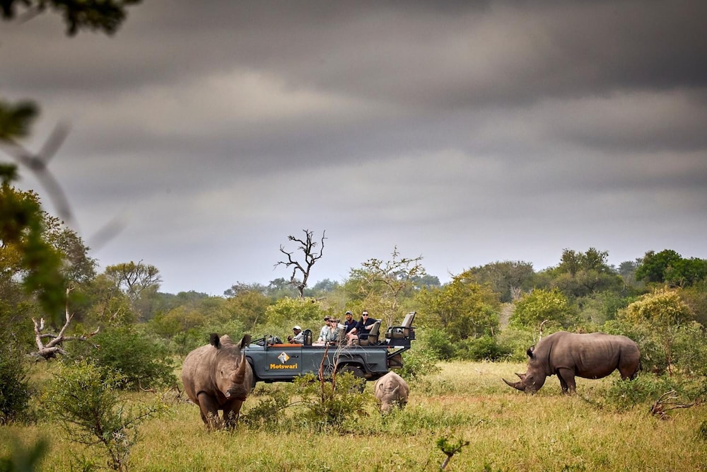 Motswari Private Game Reserve Resort by NEWMARK