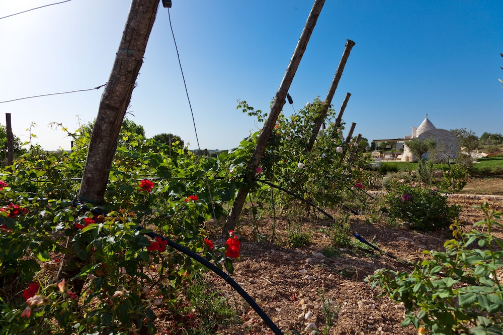 Garden Views on Herbert
